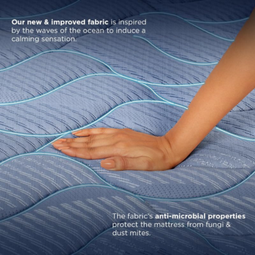 Duroflex Back Magic - Doctor Recommended |5 Zone Dual Density Orthopedic Support Layer |6 Inch Queen Size | High Density Coir Mattress for Firm Back Support, (75X60X6 Inch, Blue)